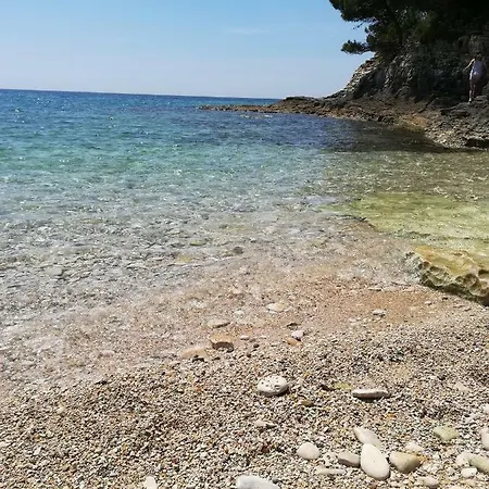 Lavanda * Pula